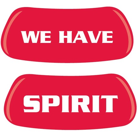 Image result for HAVE SPIRIT