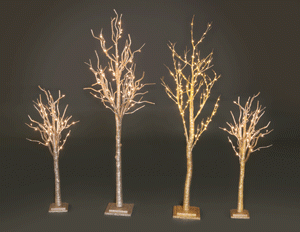 enchanted_forest_lighted_trees