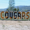 School Spirit Outdoor Decorations