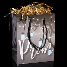Garden Lanterns Prom Gift Bag