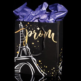 Eiffel Tower Prom Gift Bag