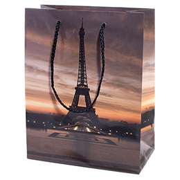 Paris at Dusk Gift Bag