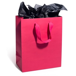 Fuchsia Pink Favor Bag