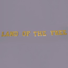 Land of the Free Letters Parade Float Kit