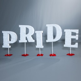 PRIDE Letters Parade Float Kit