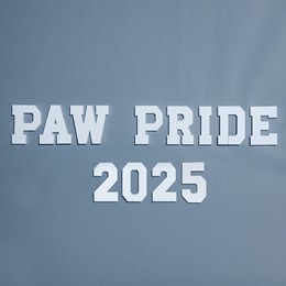 Paw Pride Letters Parade Float Kit