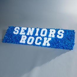 Rockin' Back Ramps Parade Float Kit