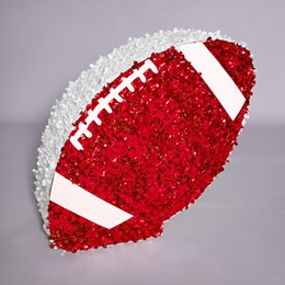 Red/White Mega Football Parade Float Kit