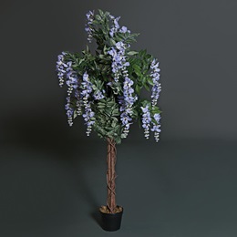 Purple Wisteria Tree Kit