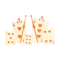 Playing Cards Kit (set of 5)
