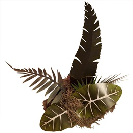 Tropical Plants Kit - Set of 2