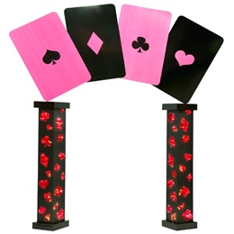 Wild Cards Arch Kit