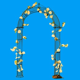 Seaside Small Garden Arch Kit