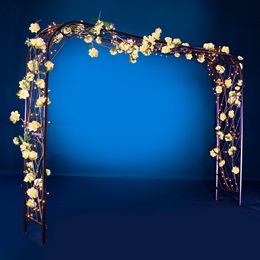Blushing Beauty Arch Kit