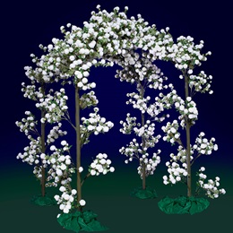Floral Embrace Arch Kit
