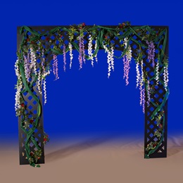 9 ft. x 10 ft. Bellissimo Botanical Black Lattice Arch Kit