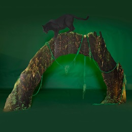 Into the Wild Arch with Panther Kit
