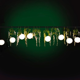 Summer Night Lights and Floral Delights Kit