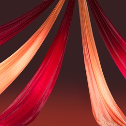 Burgundy and Gold Background Drape Kit