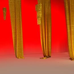 Fancy and Flashy Backdrop Kit
