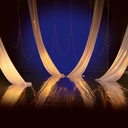 30 ft. x 48 in. Swooping Gold Fabric Lighted Backdrop Kit (set of 4)