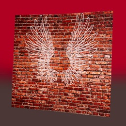 Wings and Brick Wall Backdrop Kit