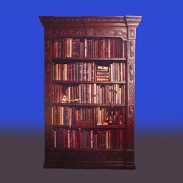 5 ft. 9 in. x 46 in. Midnight Archive Cardboard Bookcase Kit