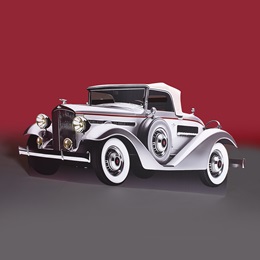 39 in. x 7 ft. 4 in. Retro Ride Luxury Car Kit