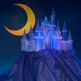 Princely Palace and Midnight Moon Kit
