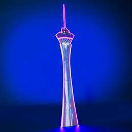 11 ft. 8 in. x 23 in. Into the Stratosphere Lighted Tower Kit