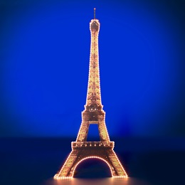 10 ft. 10 in. Paris Eiffel Tower Kit