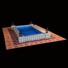 Oasis in the Desert Pool and Printed Rug Kit