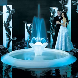Reflections of Romance Tulip Fountain Kit