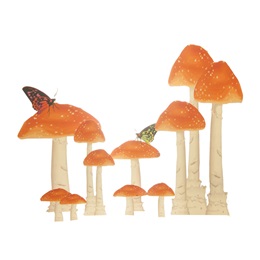 Fairytale Toadstools Kit (set of 8)