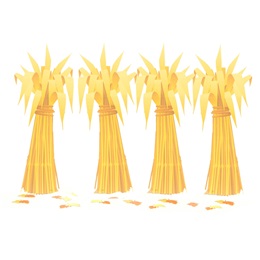 Autumn Accents Cornshocks (set of 4) and Leaves Kit