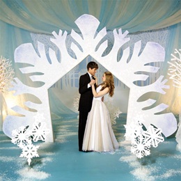 9 ft. 11 in. x 13 ft. 1 in. Snow Dance Arch Kit