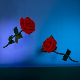 King-size Hanging Rose Kit (set of 2)