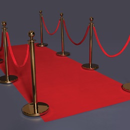 Red Velvet Rope With Gold Clips