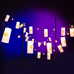 12 in. x 25 ft. Romantic Night Lights Kit