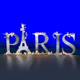 5 ft. 6 in. Lighted Paris Letters Kit