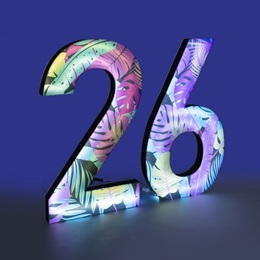 Botanical Blush Lighted Year Numbers Kit