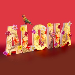 36 in. x 9 ft. Floral Aloha Letters Kit