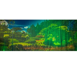 Painted Paradise Garden Background Kit