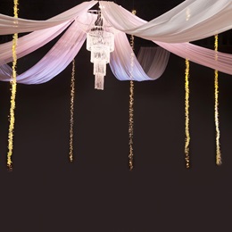 Crystal Masterpiece Chandelier Canopy Kit