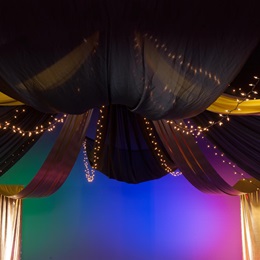 Camelot's Canopy Ceiling Decor Kit