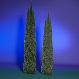 Tuscan Garden Trees Kit (set of 2)