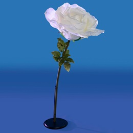 Snowflake Blossom Single Rose Kit