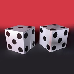 That's How We Roll Large White Dice Kit (set of 2)