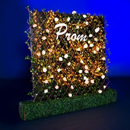 7 ft. x 8 ft. Prom Rose Wall Backdrop Kit