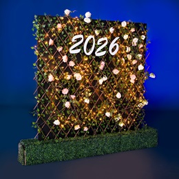 7 ft. x 8 ft. Rose Wall With Year Kit
